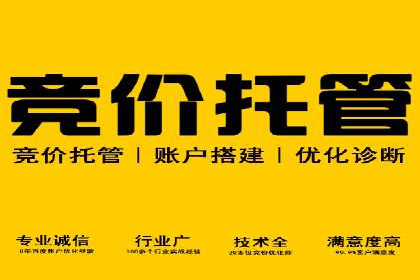 百度竞价广告投放实战案例分享